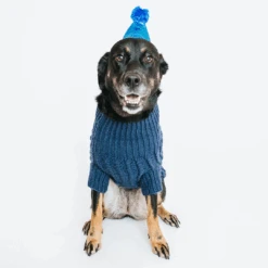 Dog Cable Knit Sweater - Navy -Furfinity Cheap Shop sunnysweater 3
