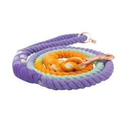 Dog Rope Leash - Sunset -Furfinity Cheap Shop sunset dog rope leash new 3