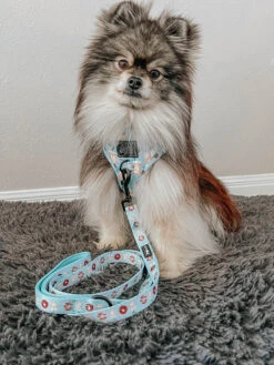 Dog Four Piece Bundle - Sweets & Pawfee -Furfinity Cheap Shop sweets and pawfee dog c2c1b5fb 92bf 41a9 acb8 030b7a70a0c0