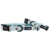 Dog Collar - Sweets & Pawfee 1 Dog Collar - Sweets & Pawfee -Furfinity Cheap Shop sweets pawfee dog collar new
