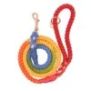 Dog Rope Leash - Taste The Rainbow -Furfinity Cheap Shop taste the rainbow dog rope leash 1