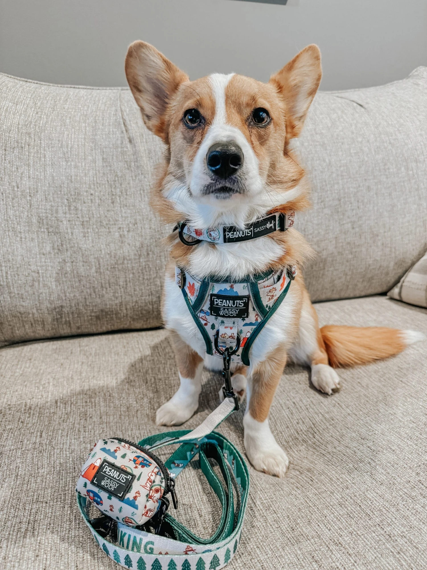 Dog Four Piece Bundle - Peanuts™ Beagle Scouts 16 Dog Four Piece Bundle - Peanuts™ Beagle Scouts - Image 14