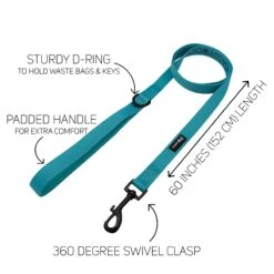 Dog Leash - Neon Blue -Furfinity Cheap Shop teal neon leash diagram