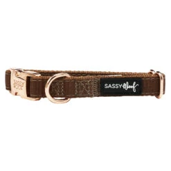 Dog Collar - Teddy -Furfinity Cheap Shop teddy collar c3ba8f5b 04c7 42f7 8d3d 7ac8234006bd