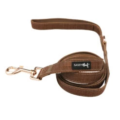 Dog Four Piece Bundle - Teddy -Furfinity Cheap Shop teddy leash 2