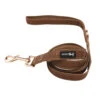 Dog Leash - Teddy -Furfinity Cheap Shop teddy leash 2 4fb0ed52 63f1 4a32 8d52 52001b717e49