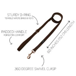 Dog Four Piece Bundle - Teddy -Furfinity Cheap Shop teddy leash guide