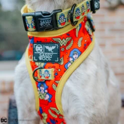 Dog Four Piece Bundle - Wonder Woman™ -Furfinity Cheap Shop the.hero .dogs2