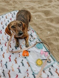 Potty Pal - Dachshund -Furfinity Cheap Shop the doxiesquad 1 9477cc36 0931 4e49 af79 2cc87279fc3f