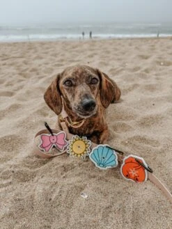 Potty Pal - Pink Bow -Furfinity Cheap Shop the doxiesquad 3 bebac87d c8a4 4d0f 80be dcdca90378fe