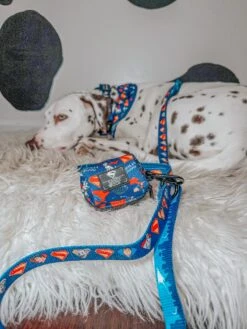 Dog Waste Bag Holder - Superman™ & Krypto™ -Furfinity Cheap Shop the hero dogs 1 d65cf0e4 d548 43ee a3f7 0113da81bfd9