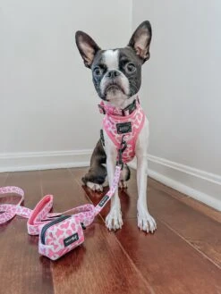 Dog Adjustable Harness - Strawberry Milk 26 Dog Adjustable Harness - Strawberry Milk -Furfinity Cheap Shop thechunky and themonkey 3 4