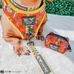 Dog Four Piece Bundle - Wonder Woman™ -Furfinity Cheap Shop thefrias weenies fef4d22a b31b 4dcb 9277 829e38e232b7