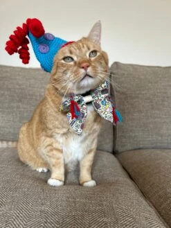 Dog Sailor Bow - Raise The Woof -Furfinity Cheap Shop theofficialtacosquad 1