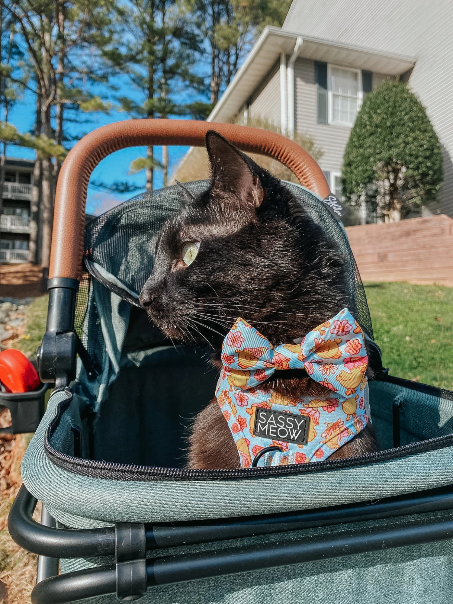 Cat Bowtie - Good Duck, Babe! 9 Cat Bowtie - Good Duck, Babe! - Image 7