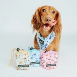 Treat Pouch - Berry Sassy -Furfinity Cheap Shop treat pouches