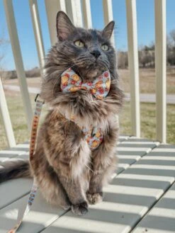 Cat Leash - Good Duck, Babe! -Furfinity Cheap Shop tuesday adventures23 2