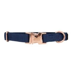 Dog Collar - Twilight -Furfinity Cheap Shop twlight dog collar