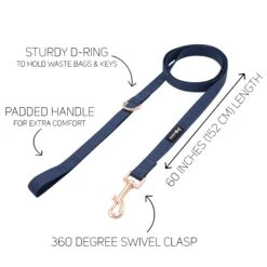 Dog Leash - Twilight -Furfinity Cheap Shop twlight dog leash 4