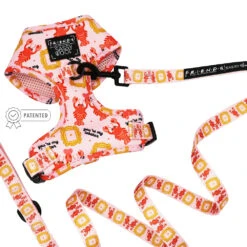 Dog Two Piece Bundle -Friends™ (Lobster)