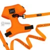 Dog Two Piece Bundle - Neon Orange -Furfinity Cheap Shop two piece neon orange