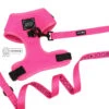 Dog Two Piece Bundle - Neon Pink -Furfinity Cheap Shop two piece neon pink