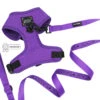 Dog Two Piece Bundle - Neon Purple -Furfinity Cheap Shop two piece neon purple