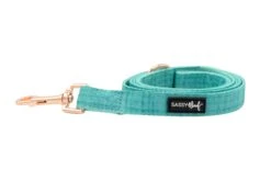 Dog Leash - Wag Your Teal -Furfinity Cheap Shop untitled 9535