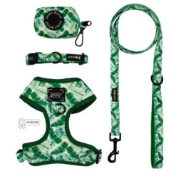 Dog Four Piece Bundle - Verano