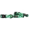 Dog Collar - Verano -Furfinity Cheap Shop verano dog collar