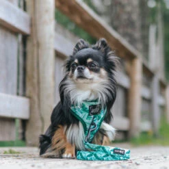 Dog Adjustable Harness - Verano 27 Dog Adjustable Harness - Verano -Furfinity Cheap Shop verano dog collection 5 71ce3a29 4e23 45bf 8596 d528ee431440