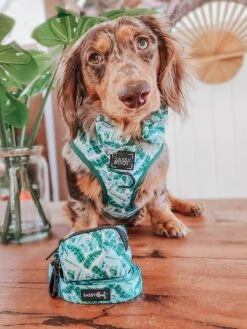 Dog Adjustable Harness - Verano 36 Dog Adjustable Harness - Verano -Furfinity Cheap Shop verona dog harness