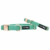 Dog Collar - Wag Your Teal -Furfinity Cheap Shop wag your teal dog collar