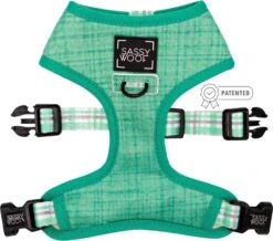 Dog Two Piece Bundle - Wag Your Teal -Furfinity Cheap Shop wagyourtealreversibleharness 2 2 1