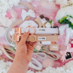 Dog Collar - Pup Of Honor -Furfinity Cheap Shop wedding product photo 14