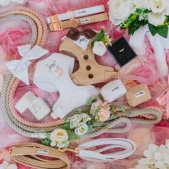 Dog Four Piece Bundle - Pup Of Honor -Furfinity Cheap Shop wedding product photo 2