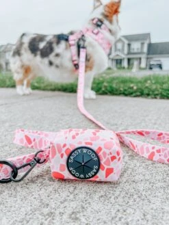 Dog Four Piece Bundle - Mykonos -Furfinity Cheap Shop winniethe auggie 4