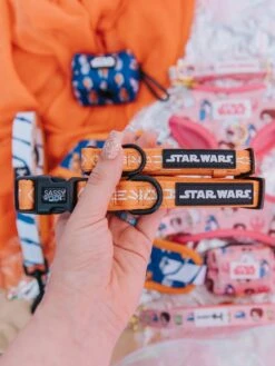 Dog Three Piece Bundle - STAR WARS™ Ahsoka -Furfinity Cheap Shop womenofstarwars lifestyle 12