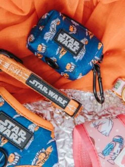 Dog Three Piece Bundle - STAR WARS™ Ahsoka -Furfinity Cheap Shop womenofstarwars lifestyle 6
