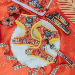 Dog Four Piece Bundle - Wonder Woman™ -Furfinity Cheap Shop wonder women dc comics dog products 4