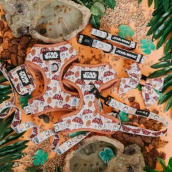 Dog Four Piece Bundle - STAR WARS™ The Rebel Alliance -Furfinity Cheap Shop wookie product photos