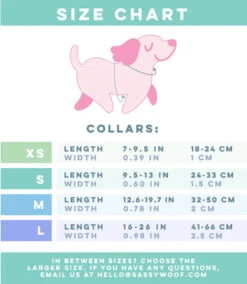 Dog Collar - Dolce Rose -Furfinity Cheap Shop xs lcollar 480x480 264dc15e 61b0 453d 9921 3fea250475e1