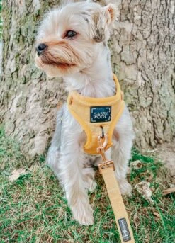 Dog Adjustable Harness - Sunflower Fields -Furfinity Cheap Shop yellow dog harness 2