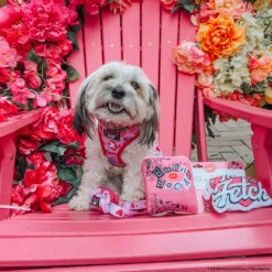 Dog Toy - Mean Girls™ 15 Dog Toy - Mean Girls™ -Furfinity Cheap Shop youberrabelieveit 4 c02efe0d 6e20 4110 bec4 2d11cdd5c11d