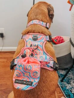 Dog Treat Pouch - Good Vibes -Furfinity Cheap Shop zero and echo XL 3