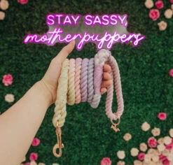 Dog Rope Leash - Caroline -Furfinity Cheap Shop zulily caroline